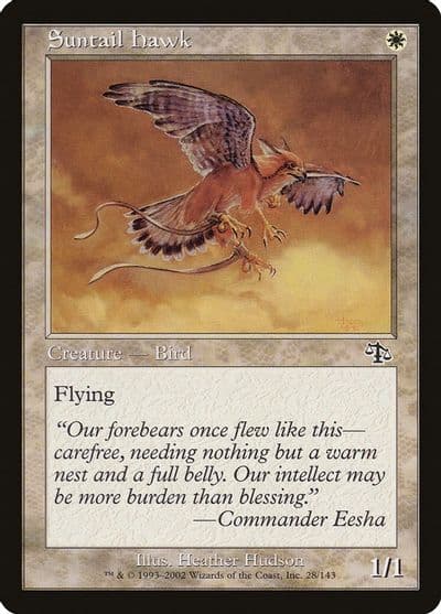 Suntail Hawk Judgment Magic card
