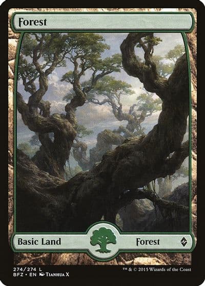 Forest 274 Full Art Battle for Zendikar Magic card