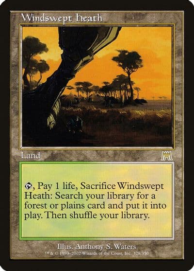 Windswept Heath Onslaught Magic card