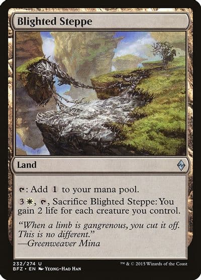 Blighted Steppe Battle for Zendikar Magic card