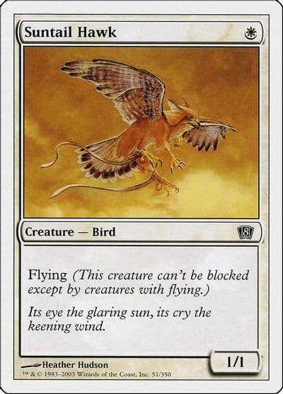 Suntail Hawk 8th Edition Magic card