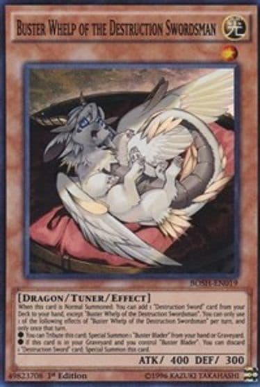 Buster Whelp of the Destruction Swordsman Breakers of Shadow Yu-Gi-Oh! card