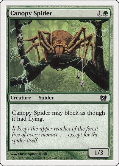 Canopy Spider 8th Edition Magic card