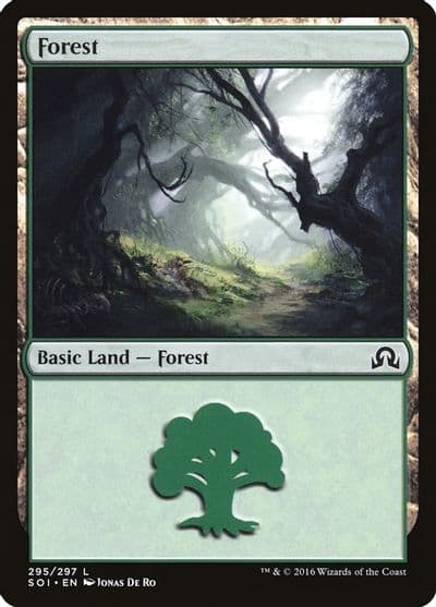 Forest 295 Shadows over Innistrad Magic card