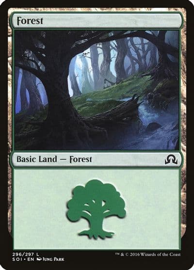 Forest 296 Shadows over Innistrad Magic card