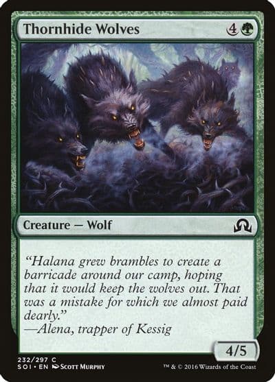 Thornhide Wolves Shadows over Innistrad Magic card