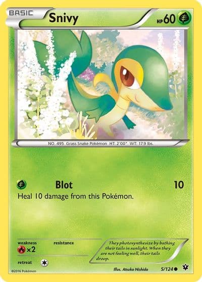 Snivy XY - Fates Collide Pokemon card