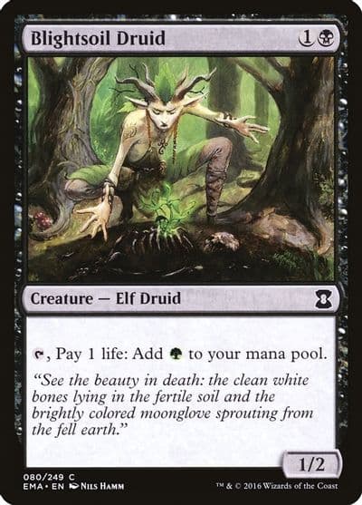 Blightsoil Druid Eternal Masters Magic card