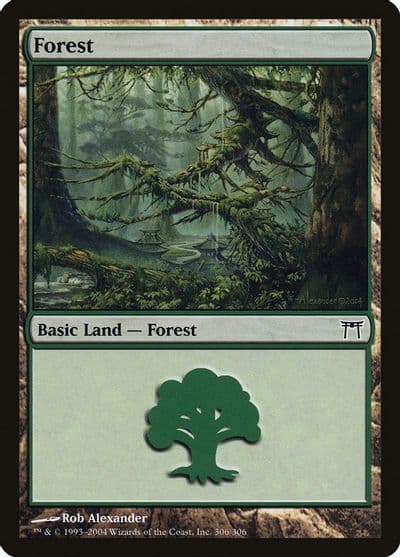 Forest 306 Champions of Kamigawa Magic card