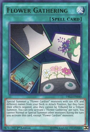 Flower Gathering Dragons of Legend: Unleashed Yu-Gi-Oh! card