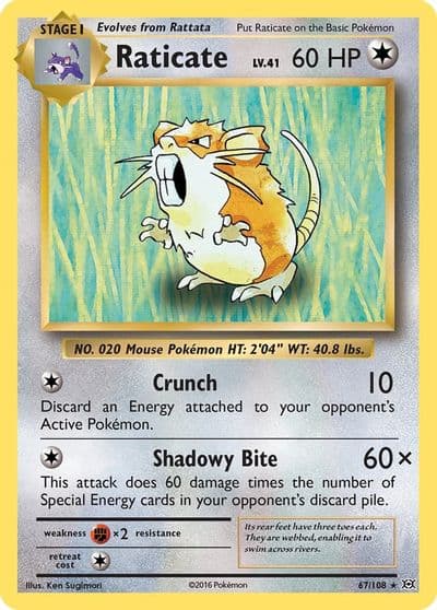 Raticate XY - Evolutions Pokemon card