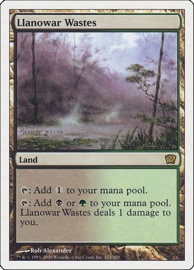 Llanowar Wastes 9th Edition Magic card