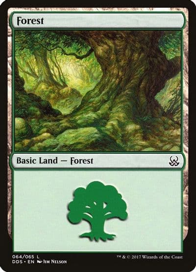 Forest 064 Duel Decks: Mind vs. Might Magic card