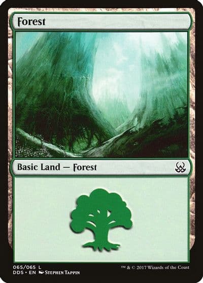 Forest 065 Duel Decks: Mind vs. Might Magic card