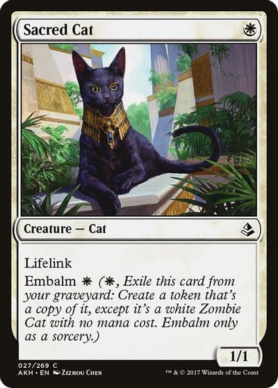 Sacred Cat Amonkhet Magic card