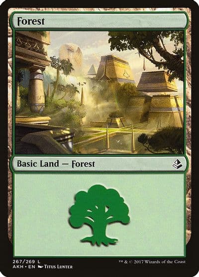 Forest 267 Amonkhet Magic card