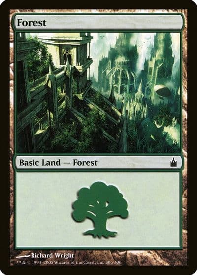 Forest 306 Ravnica: City of Guilds Magic card