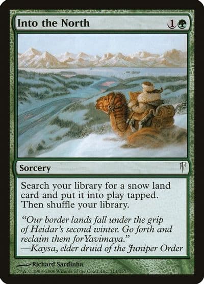 Into the North Coldsnap Magic card