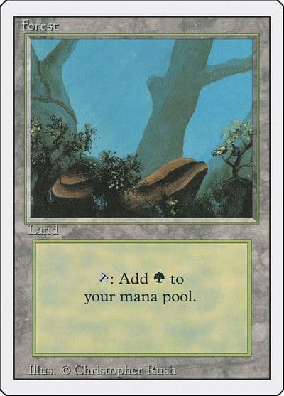 Forest A Revised Edition Magic card