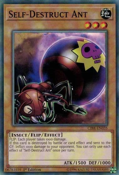 Self Destruct Ant Circuit Break Yu-Gi-Oh! card