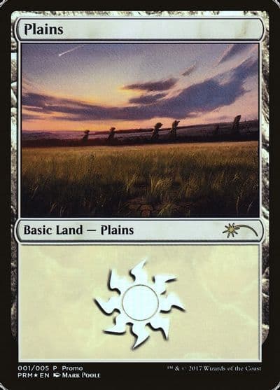 Plains 2017 Gift Pack Poole Gift Boxes and Promos Magic card