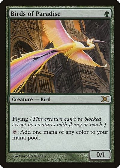 Birds of Paradise 10th Edition Magic card