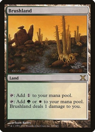 Brushland 10th Edition Magic card
