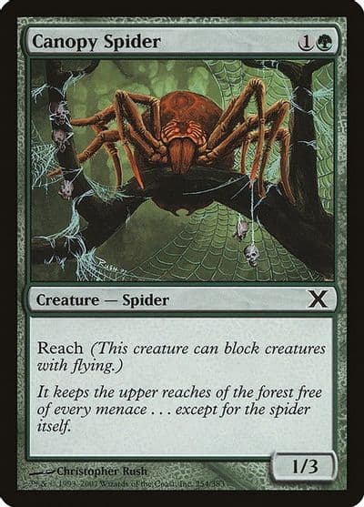 Canopy Spider 10th Edition Magic card