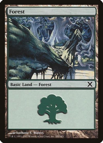Forest 380 10th Edition Magic card