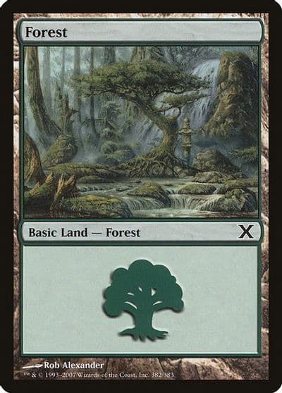 Forest 382 10th Edition Magic card