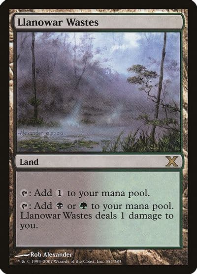 Llanowar Wastes 10th Edition Magic card