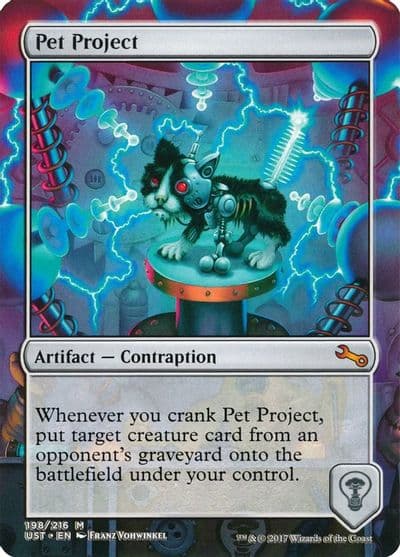 Pet Project Unstable Magic card