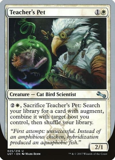 Teachers Pet Unstable Magic card