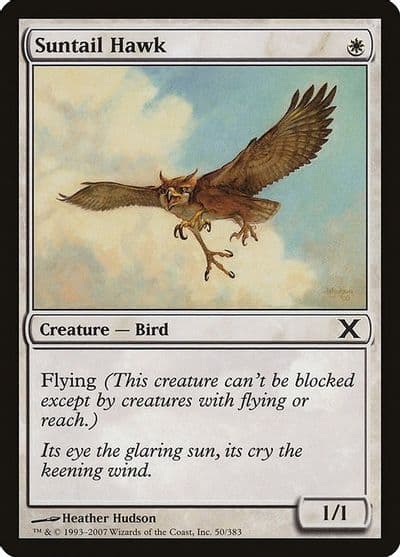 Suntail Hawk 10th Edition Magic card