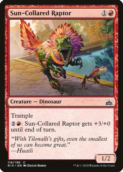 Sun Collared Raptor Rivals of Ixalan Magic card