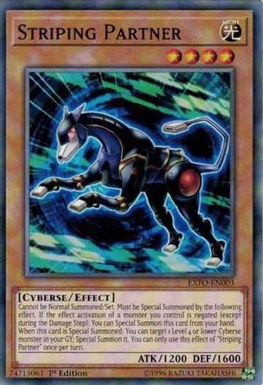 Striping Partner Extreme Force Yu-Gi-Oh! card