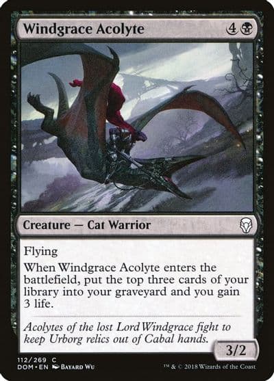 Windgrace Acolyte Dominaria Magic card