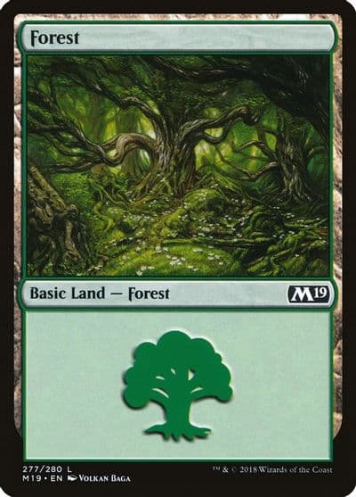 Forest 277 Core Set 2019 Magic card