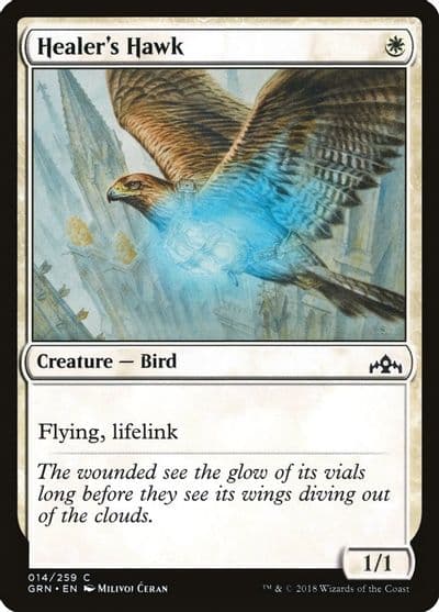 Healers Hawk Guilds of Ravnica Magic card