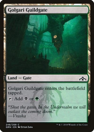Golgari Guildgate 248 Guilds of Ravnica Magic card