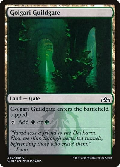 Golgari Guildgate 249 Guilds of Ravnica Magic card