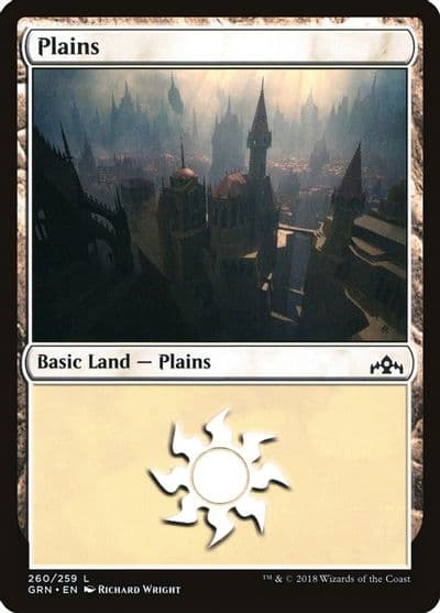Plains Guilds of Ravnica Magic card