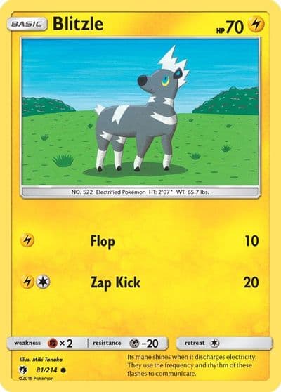 Blitzle SM - Lost Thunder Pokemon card