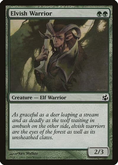 Elvish Warrior Morningtide Magic card