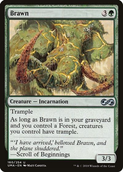 Brawn Ultimate Masters Magic card
