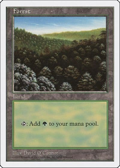 Forest 446 Fifth Edition Magic card