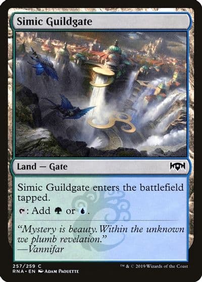 Simic Guildgate 257 Ravnica Allegiance Magic card