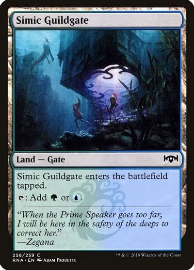 Simic Guildgate 258 Ravnica Allegiance Magic card