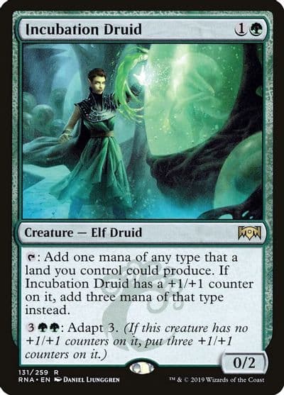 Incubation Druid Ravnica Allegiance Magic card
