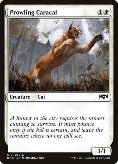 Prowling Caracal Ravnica Allegiance Magic card